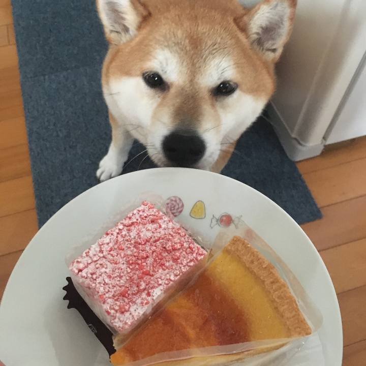 99b32555 24a6 4687 a4f6 f4be329f3e29 1600493025379