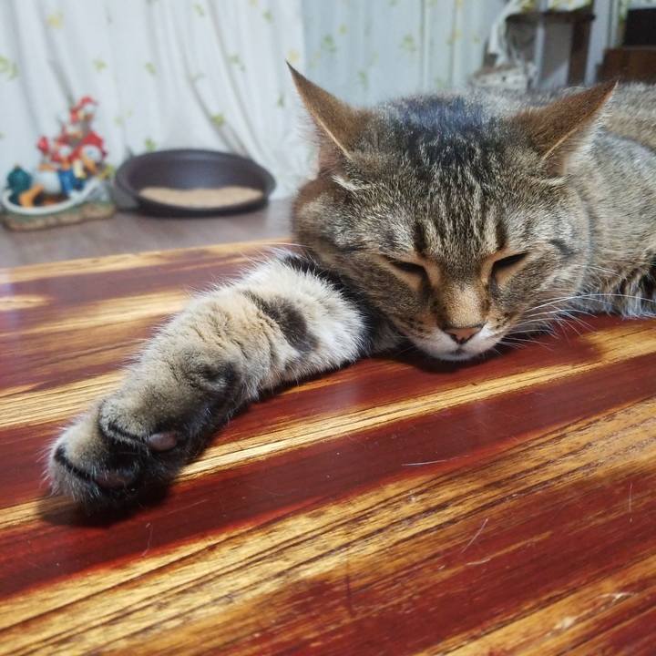 99b3c854 2d34 4d4a b4f5 1b84db757fa0 1559825889559