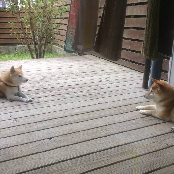 99b3c90e a356 49f8 9c2f 1c162791eb86 1536410222335