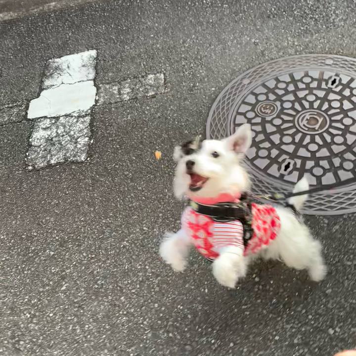 99b3eef3 2697 483c 9905 5c48d6b138c2 1733613687928