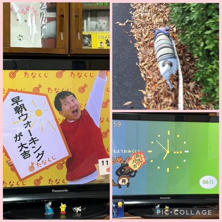 99b3fad9 9e4f 419b ab97 7f51232f46c7 1763330930195