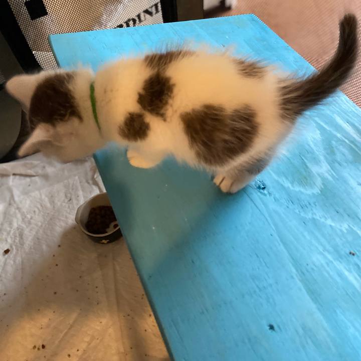 99b3fc7b 99c6 4f2c bb37 cc23548097c9 1684746905043