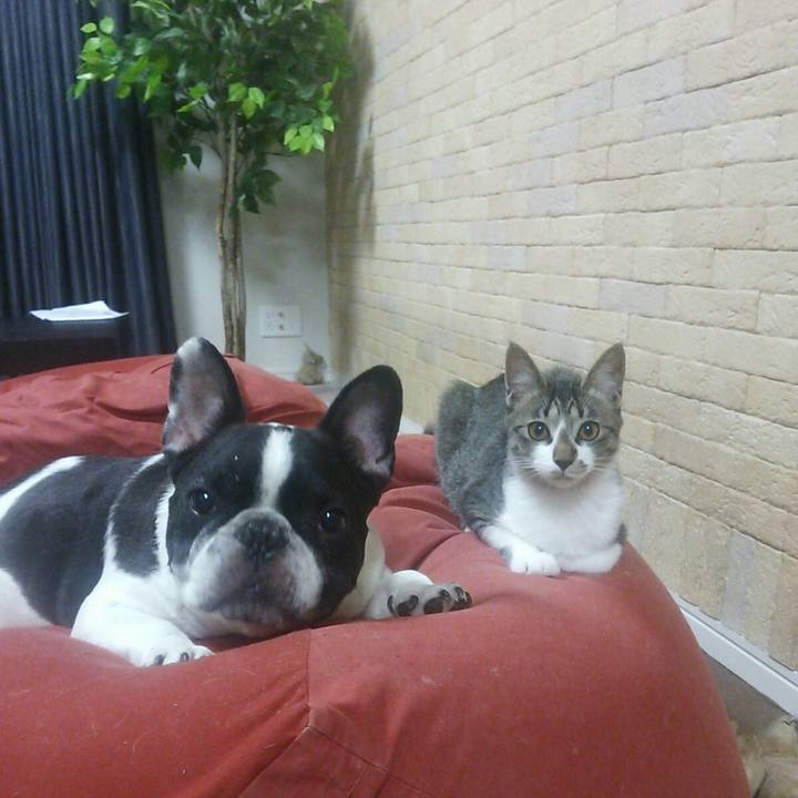 99b4043d 21cc 4600 9c70 3687913a5f9c 1520041060460