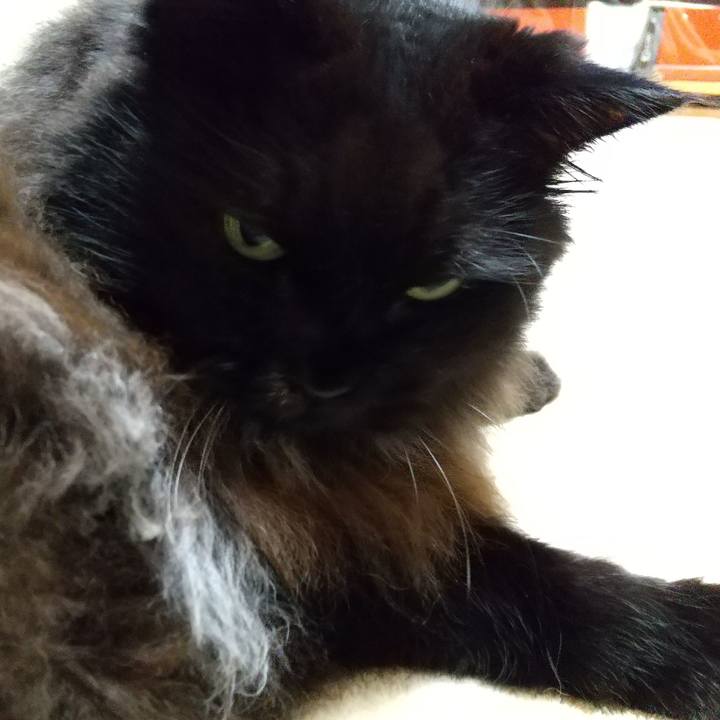 99b42eee 272f 447b 9e59 76299ba95a69 1665751301072