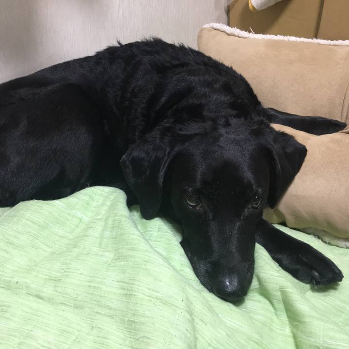 99b44192 67d0 4e75 895c 8d34ad1f18a7 1577324701521