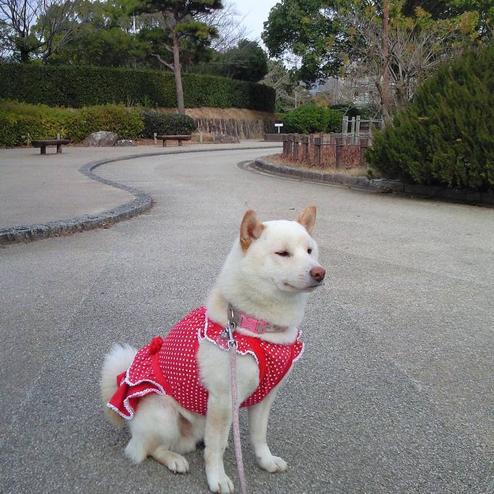 99b450c3 1ca4 4b91 a123 5fbe380cf4de 1648292166710