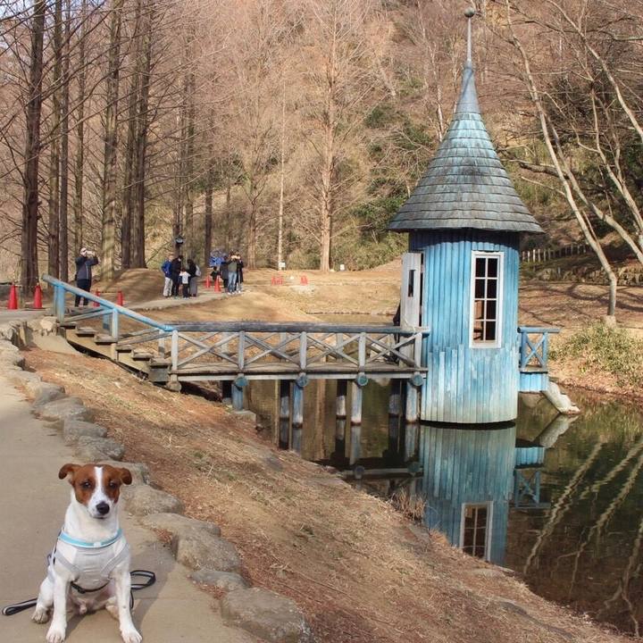 99b471bf ada9 49cc b9ef 235635c6d779 1550360760558