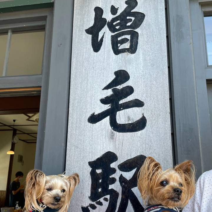 99b4ccde c4c1 4461 9447 53b283a6cebf 1627293735879