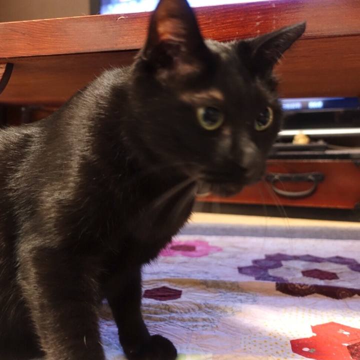 99b4d85a 9947 4b8e 9866 28ddcda4c5d9 1544109180332