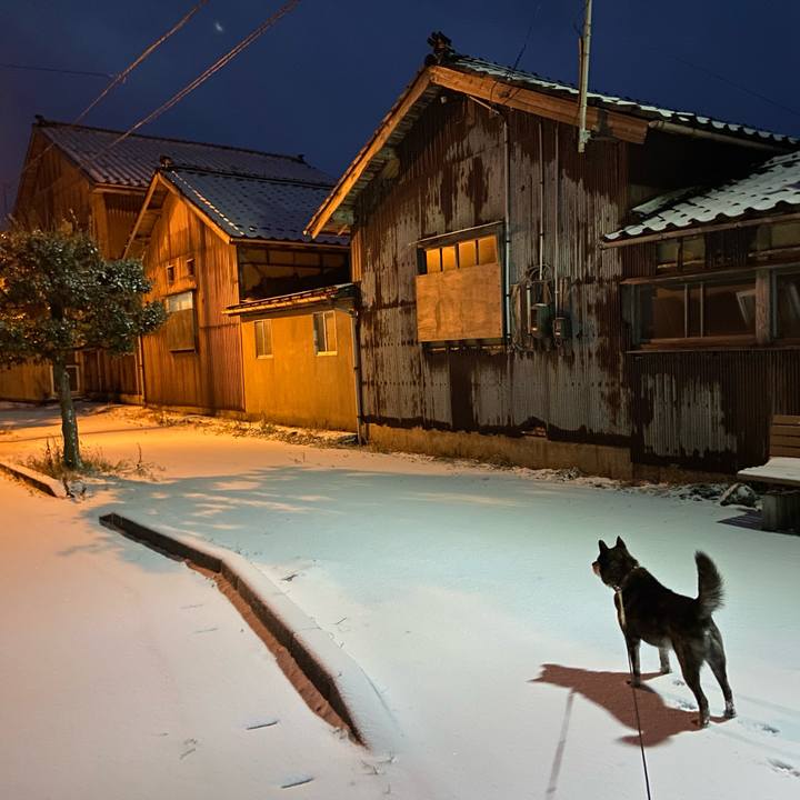 99b50605 edf1 4e03 9c0e c9535619db5f 1640909984812