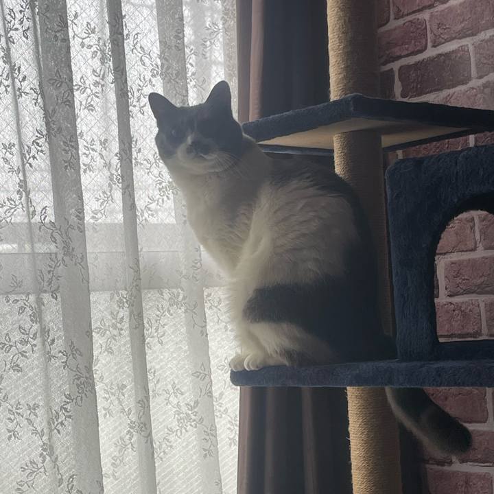 99b51402 b4e6 4326 8aa3 113f3c0a1e77 1713225528840