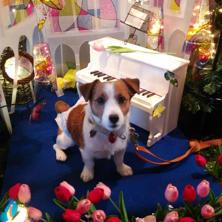 99b51bef 564c 4b01 8dcc 5bd3c128ddb0 1521112780459