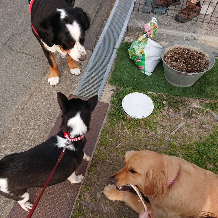 99b51cee 4262 4227 9154 957e7e43a256 1522576192982