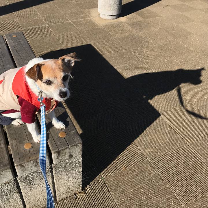 99b53641 611e 438f 8ae3 b3315203c9a5 1608086716769