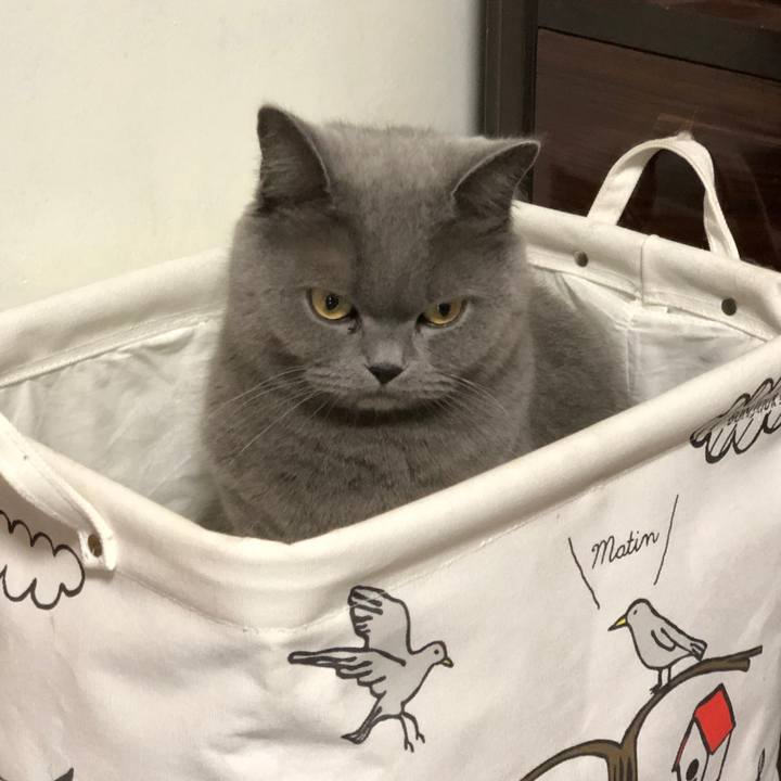 99b54ce2 8fe4 4175 89ea 81fc9b792c84 1555551662193