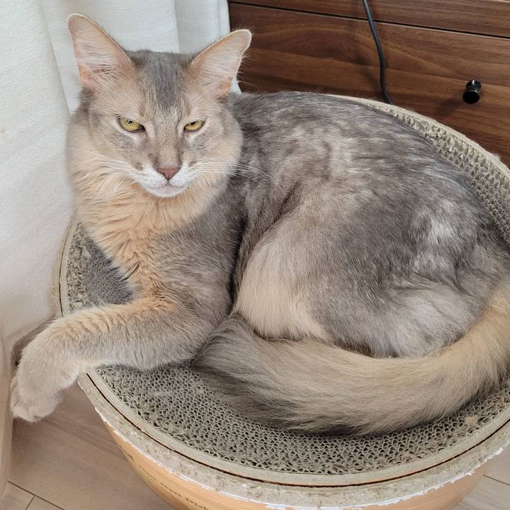 99b561ab 743f 4c6d a4c0 294030dcfb29 1663054582504