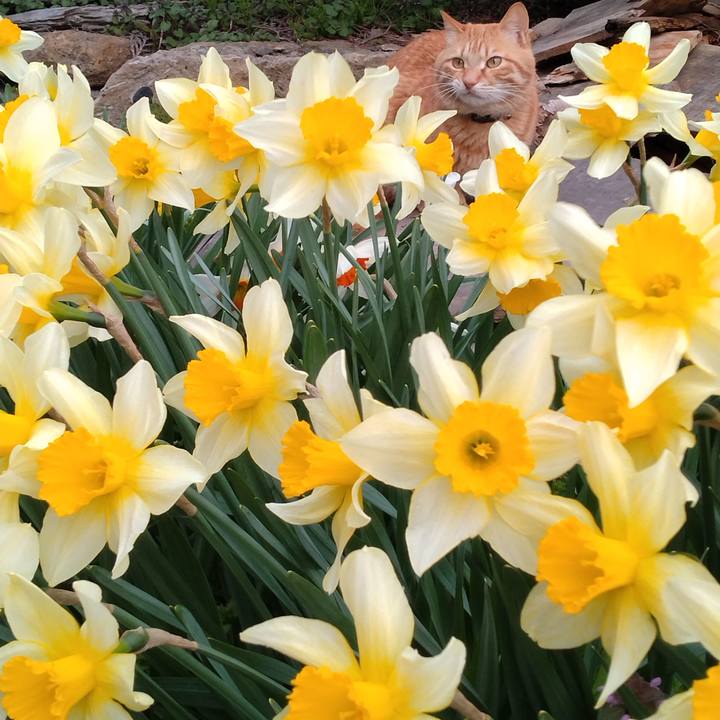 99b57a7f cad1 4f33 9b17 70a05d2d14fd 1681461786666