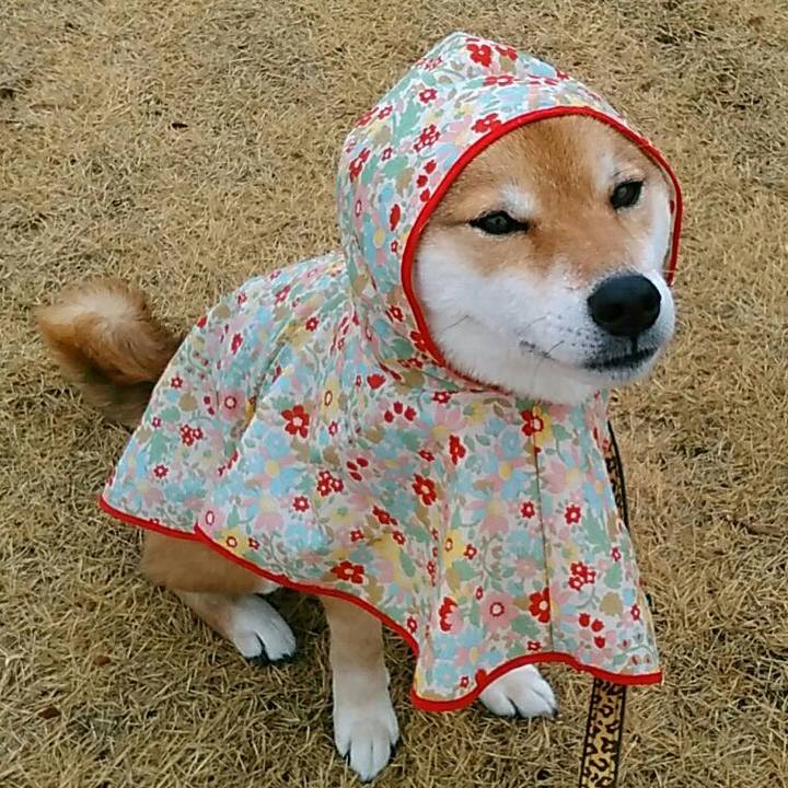 99b57ea2 2d3e 4a9f ae20 341c1a063a45 1549413739937