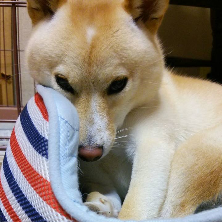 99b5d638 68f6 4aec 8b31 8d0bc5155a7f 1532610130922