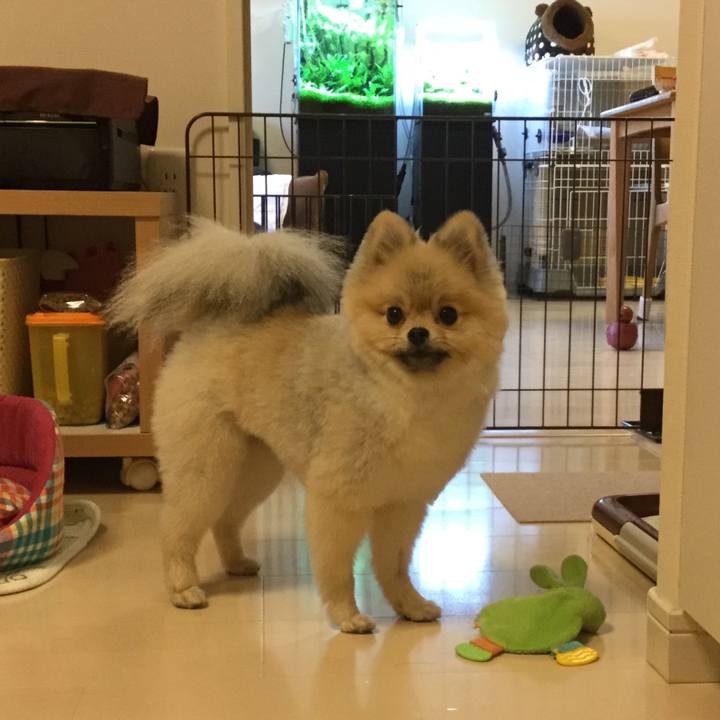 99b5dabd 0cac 41e7 bdc7 e7d4b096e7fc 1525339218814