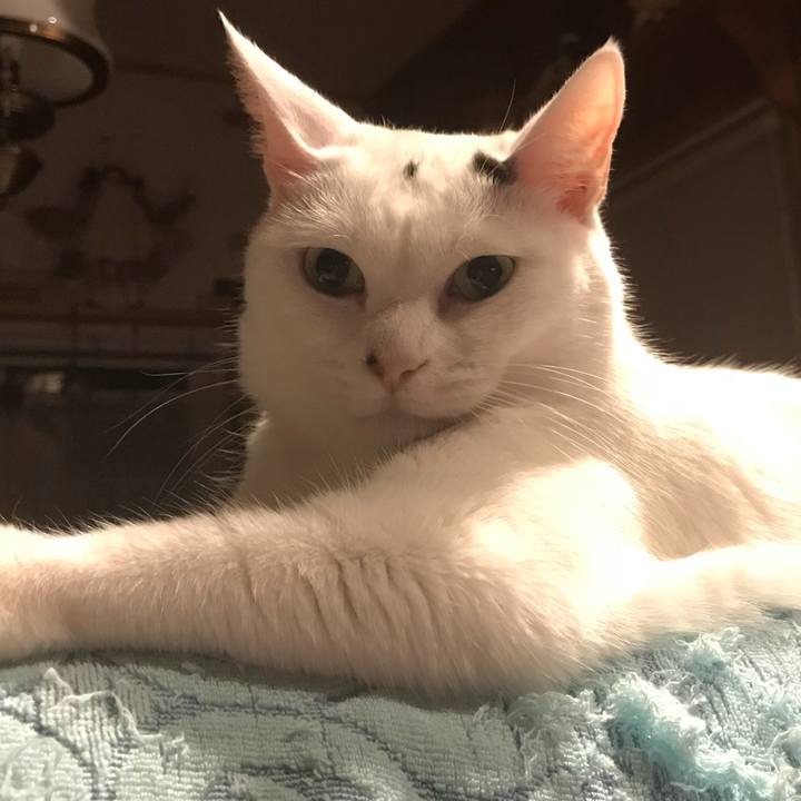 99b5df1a 730f 4da9 bbbc f5257ba1e95c 1530534903680