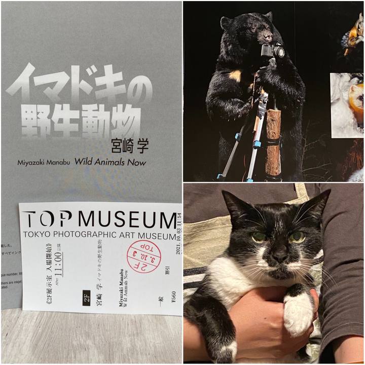 99b6025f dcbb 40ef a6a7 8f8a916c068b 1633239063283