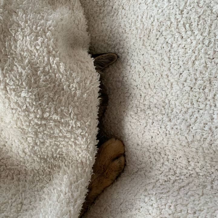 99b618ea e09d 4ddd 9e85 27c96909bf38 1742776322511