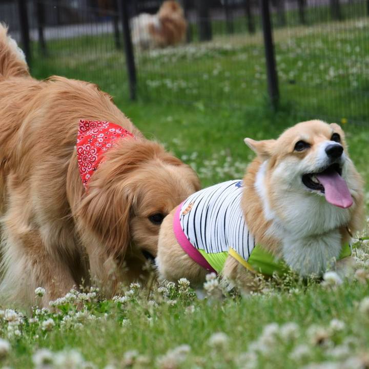 99b671e4 b0df 4ca5 b660 87deedd57567 1560077017863