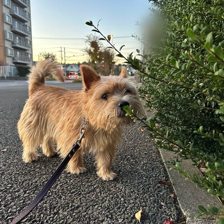 99b681f4 c2ac 4d28 8f7a 5536bafa88d4 1733447095509