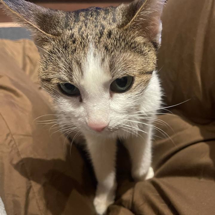 99b68474 8f47 4a29 9fa0 1d8eabee941e 1641726506915