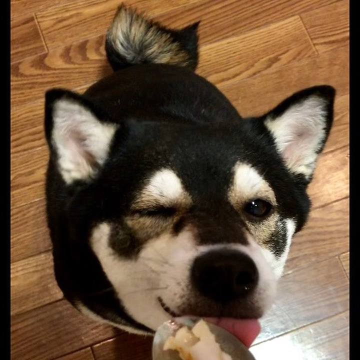 99b68cc7 9e5e 4f05 8122 572d2aaeeb4f 1527769182528