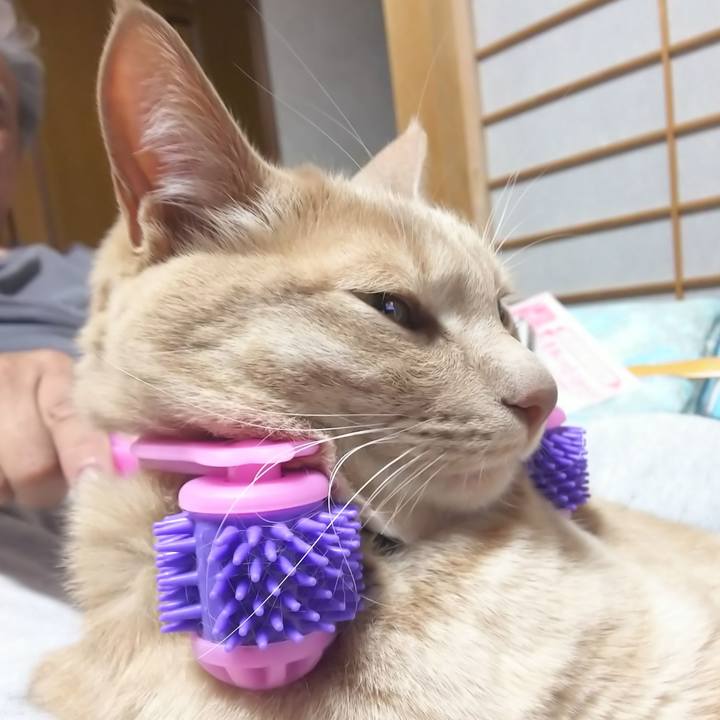 99b6c93d c7d1 4947 a7d6 3a8b7ed8bc68 1585735535254