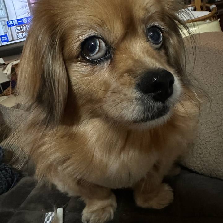 99b6e36b 0e0a 4aba a5bf cba0526055df 1739481290708