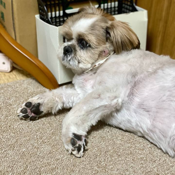 99b6ee08 11de 447d a312 a68feb5de7e9 1628060109793