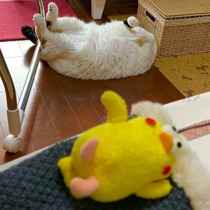 99b6f065 df96 4bb2 8937 9e2fc9255986 1562933909919