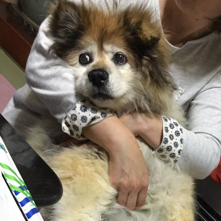 99b70fa6 034a 4e93 a302 2b1c3f1a30cd 1559558609120