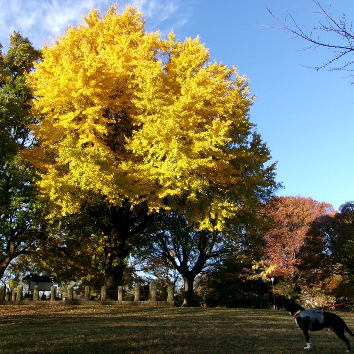 99b73315 0976 41ba 96da c861a3636890 1733443921350