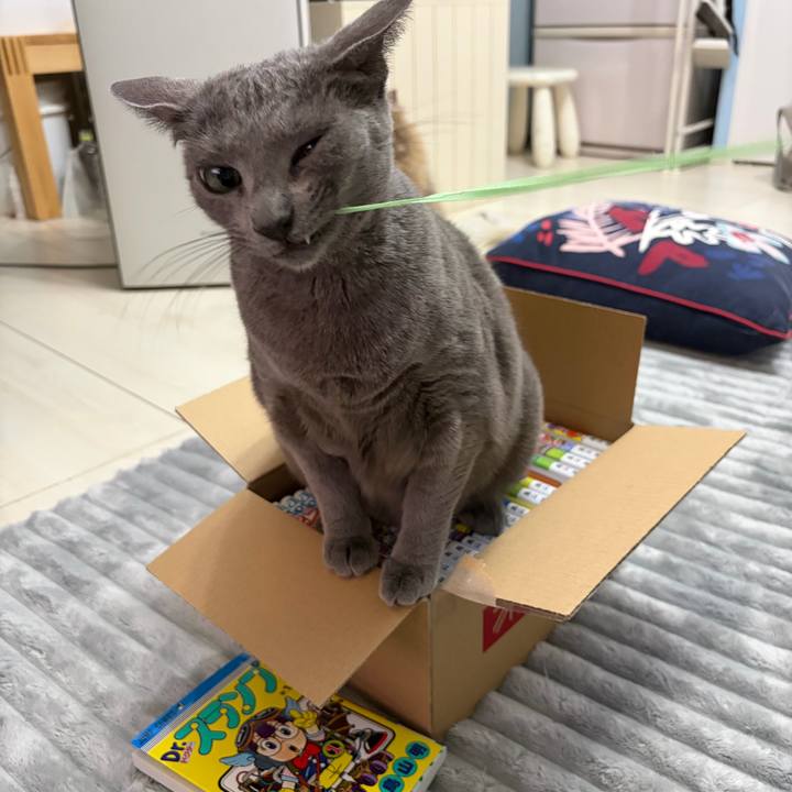 99b73ba6 4dbf 4b84 9566 3fb69b3f5f4a 1770552052498