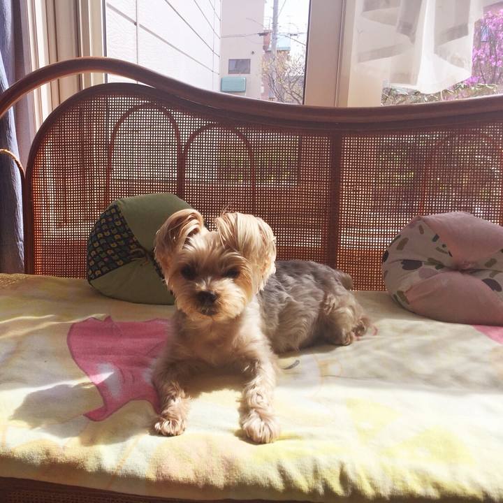 99b7951a 34b1 491e b17e e5560d1026dc 1525169036953