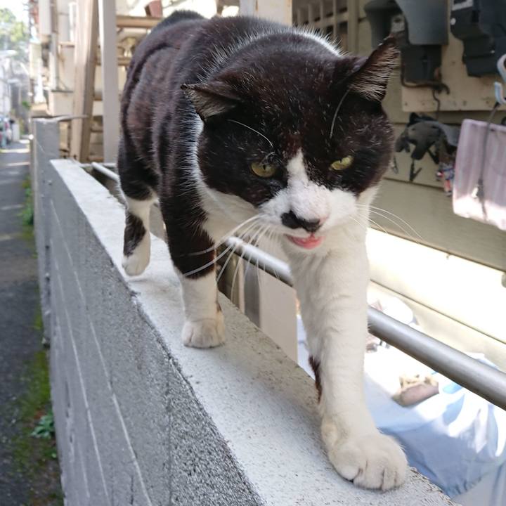 99b7bdf7 aa0f 44e7 a801 d2a910ea235e 1650688633046