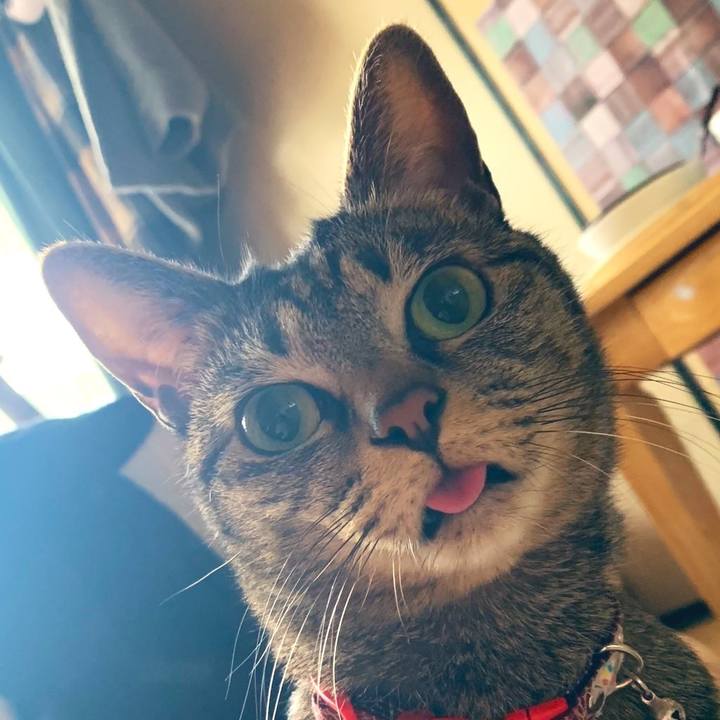 99b80a16 1a93 4fec b5d2 6e53fdab9d8f 1579584205473