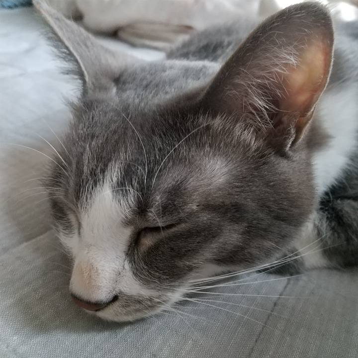 99b810e5 1073 4b55 b4fd fcd127ac811d 1619303896195