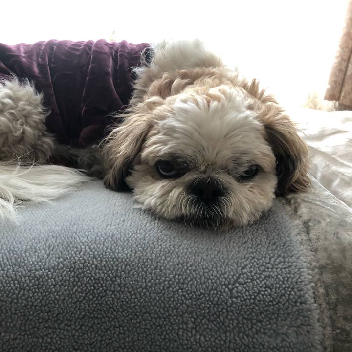 99b823cd eef7 4224 9ccd 1ebbb7bfa0ed 1582423440426