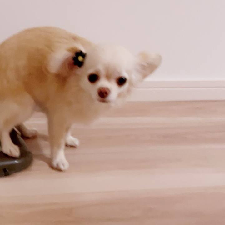 99b83795 6733 4d90 804b beef774062ad 1690945937093