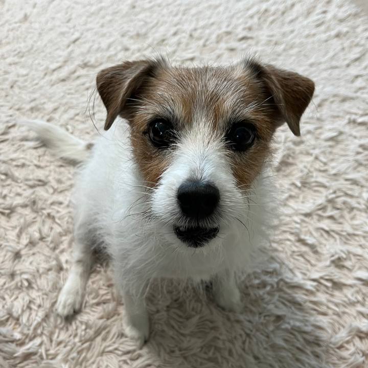 99b837eb da49 44bf a3e2 bbfbb9a5dbf5 1736429937815