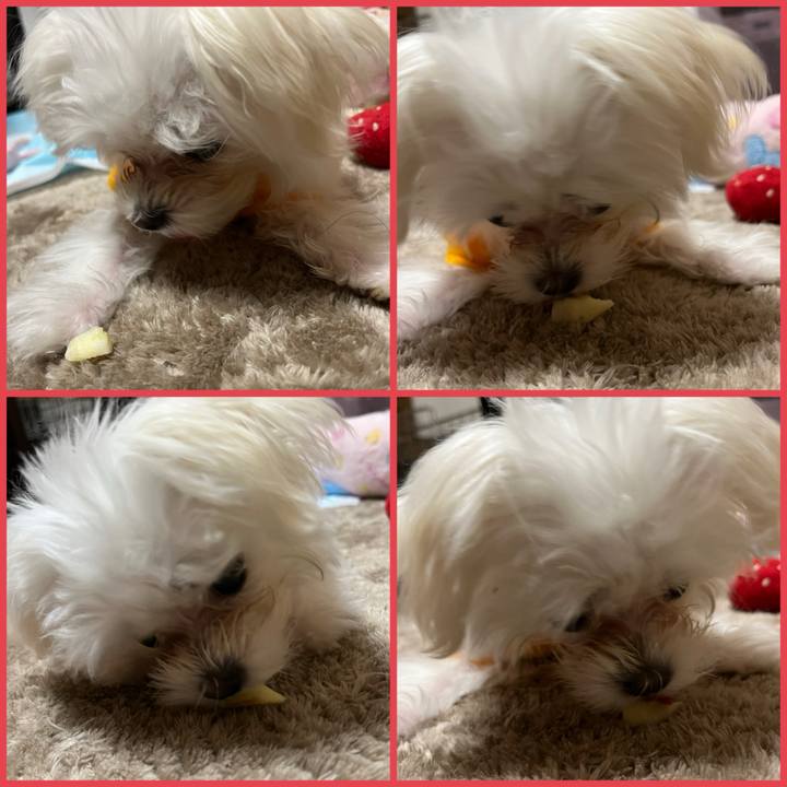 99b848fb 4175 40d6 9f4c 6b17408243b4 1706168551018