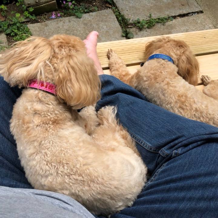 99b87609 b950 44d9 8d06 bec69906f7ad 1622345296549