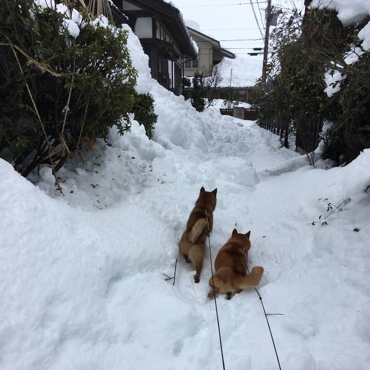 99b88e54 64d0 436b 8bb2 205926220de5 1518239638189