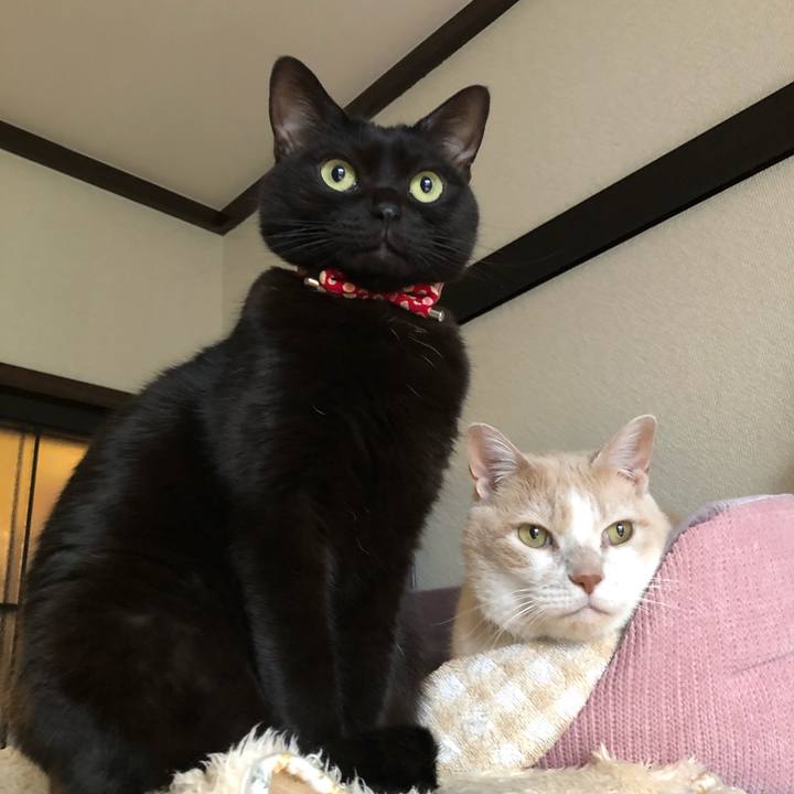 99b89a8e b5a9 4ea2 b637 23ecd162145e 1613082861205