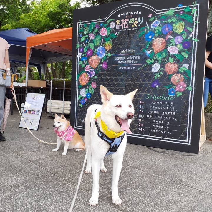 99b8cb9a dc6d 41ac b16a d093ba1e5d13 1690092527784